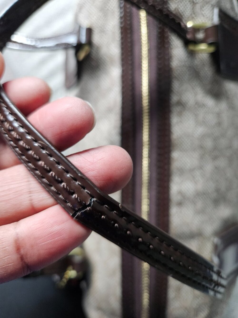 Coach Poppy Signature C Mini Oxford East/West Satchel - Picture 9 of 15